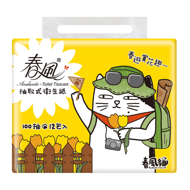 宅配免運 春風貓 抽取式衛生紙 100抽12包6串共72入/箱購