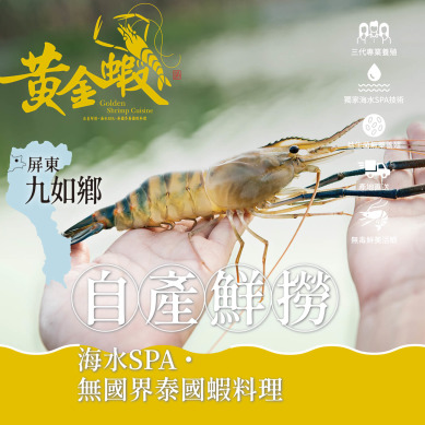 【黃金蝦】生鮮母蝦600克（冷凍包）