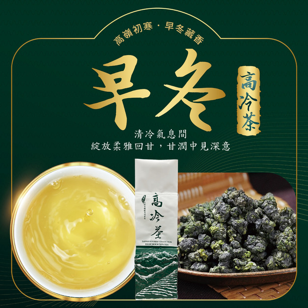2025冬茶上市｜早冬｜高冷茶