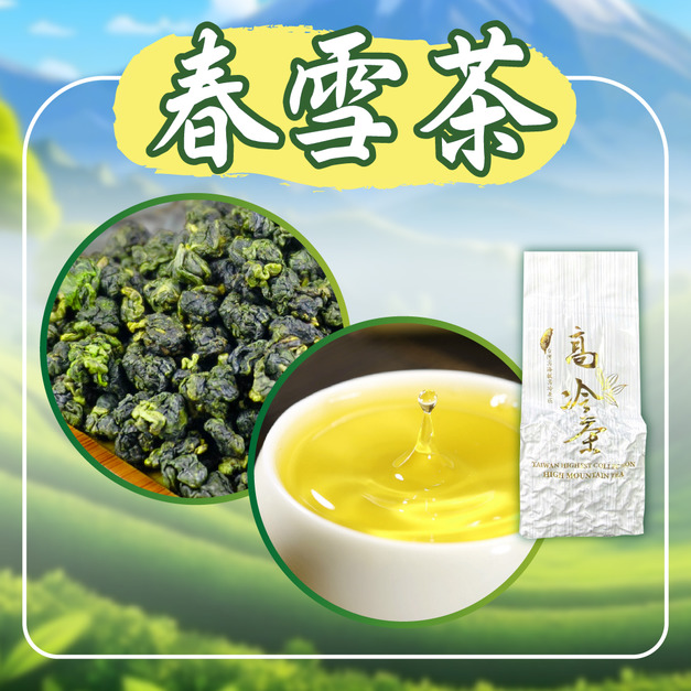 2026春茶上市｜春雪茶｜高冷茶