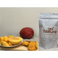 【台南玉井】芒果果乾(無糖)