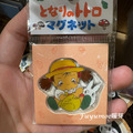 Fuyumoe暖芽⏩日本代購✈吉卜力 宮崎駿系列 磁鐵✈便利貼 冰箱貼 黑貓吉吉龍貓小梅 造型磁鐵 橡子共和國