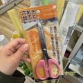 Fuyumoe暖芽⏩日本購物✈文具用品 不銹鋼剪刀 膠帶用剪刀/帶孔剪刀✈勞作剪刀 不沾膠剪刀 事務用品 辦公