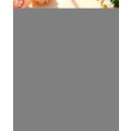 【美安VIP】[萩江濾掛] 萩之香・濾掛大富翁-精品濾掛咖啡120入超值組合-免運! 超值2998元_7