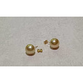 南洋金珠耳環_Golden-South-Sea-Pearl 14K金耳針+耳束 - 僅此一對_1