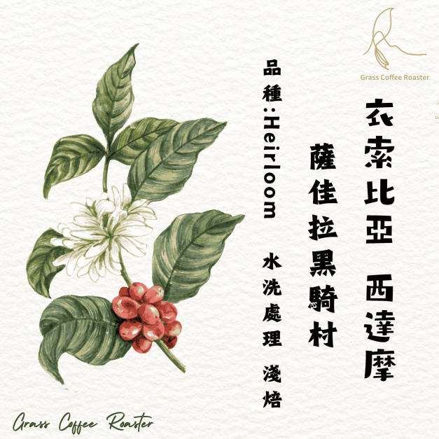 衣索比亞  西達摩   薩佳拉黑騎村  水洗處理  淺焙 