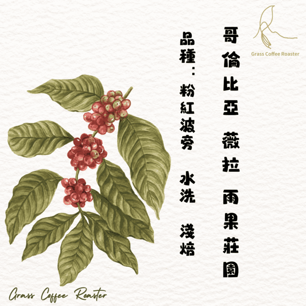哥倫比亞 薇拉 雨果莊園    水洗  淺焙