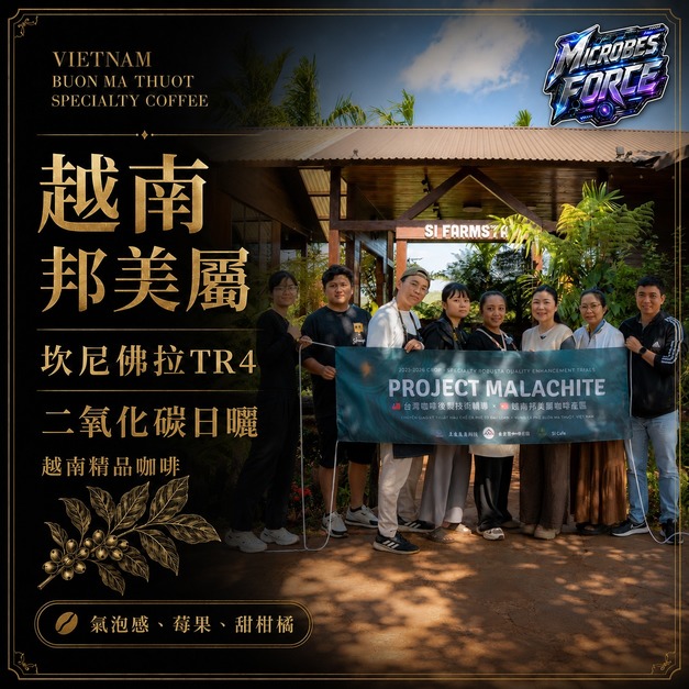 #009 越南 邦美屬 坎尼佛拉TR4 二氧化碳日曬處理 草闆製作 (225公克裝 )