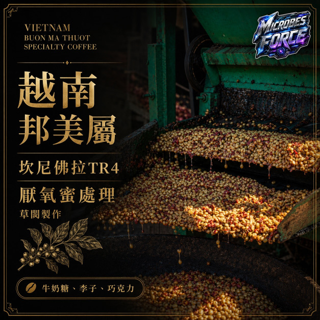 #008 越南 邦美屬 坎尼佛拉TR4 厭氧蜜處理 草闆製作 (225公克裝 )