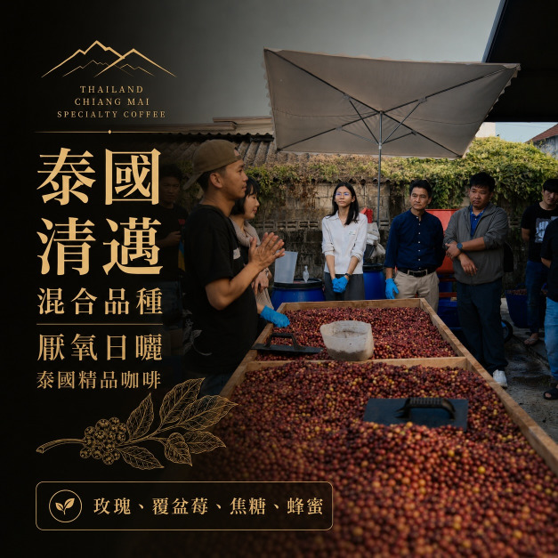 #011 泰國清邁 厭氧酵母日曬 混合品種  草闆製作 (225公克裝 )