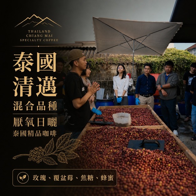 #011 泰國清邁 厭氧酵母日曬 混合品種  草闆製作 (225公克裝 )