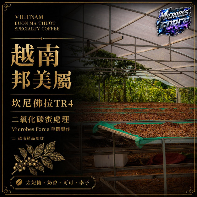 #010 越南 邦美屬 坎尼佛拉TR4 二氧化碳蜜處理處理 草闆製作 (225公克裝 )