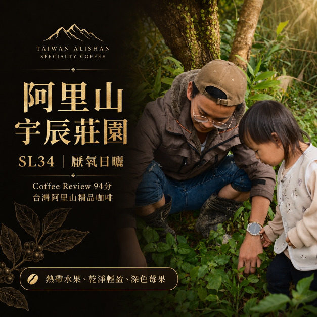 #004 阿里山 宇辰莊園 SL34 厭氧日曬處理 (100公克裝 )