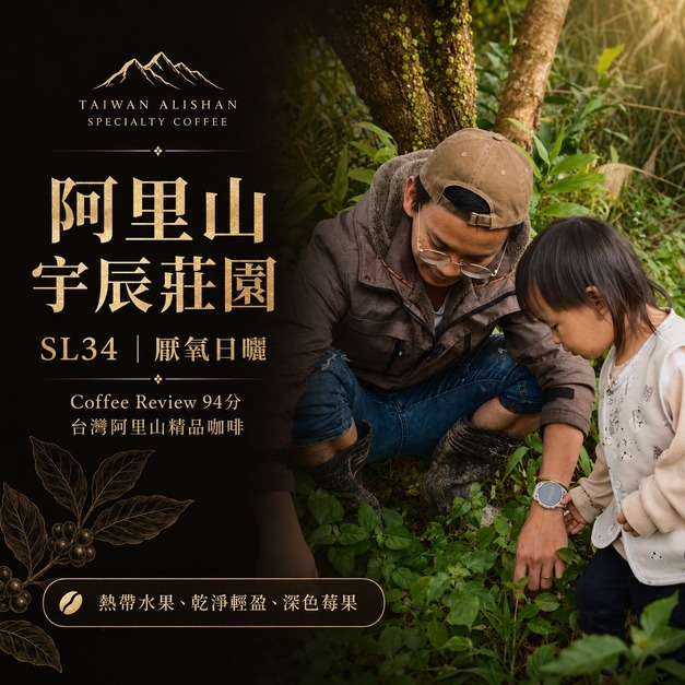#004 阿里山 宇辰莊園 SL34 厭氧日曬處理 (100公克裝 )