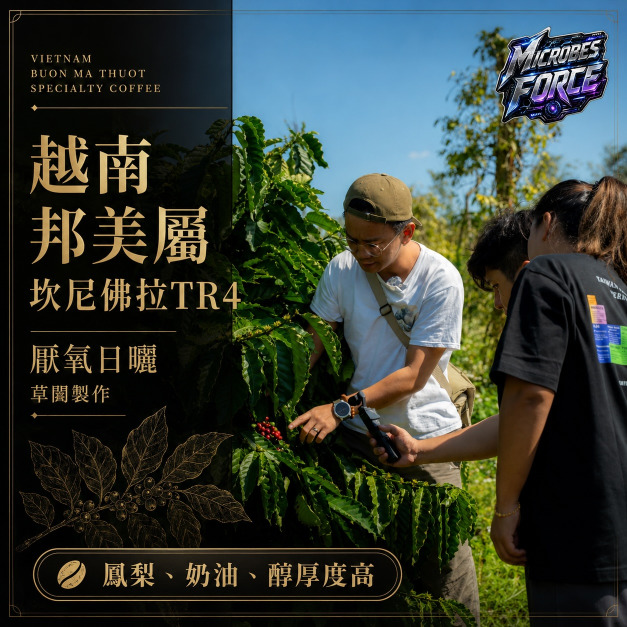 #007 越南 邦美屬 坎尼佛拉TR4 厭氧酵母日曬 草闆製作 (225公克裝 )