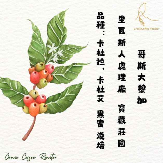 哥斯大黎加 里瓦斯人處理廠  寶藏莊園 淺焙