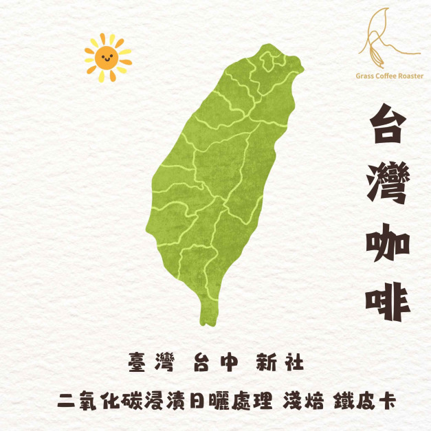 台中 新社 TYPICA  二氧化碳浸漬日曬 淺烘焙
