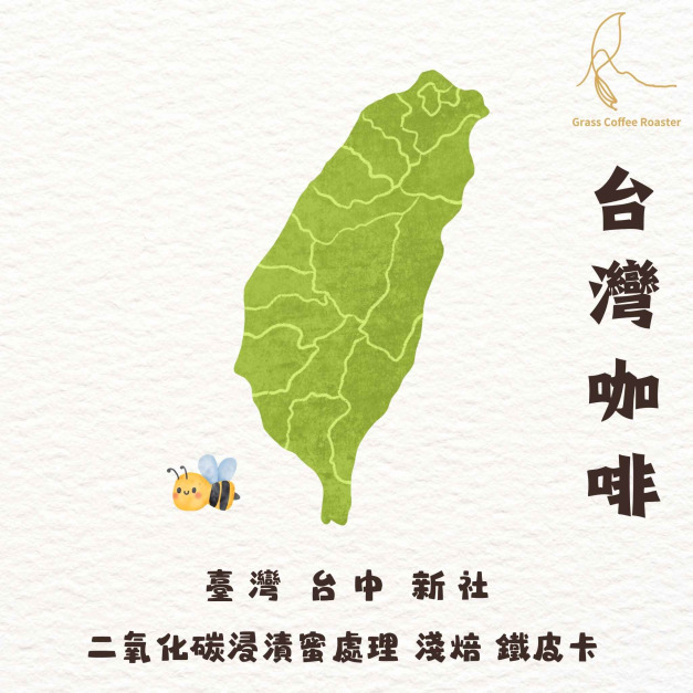 台中 新社 TYPICA  二氧化碳浸漬蜜處理 淺烘焙