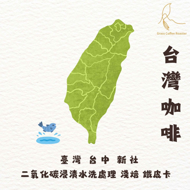 台中 新社 TYPICA  二氧化碳浸漬水洗 淺烘焙