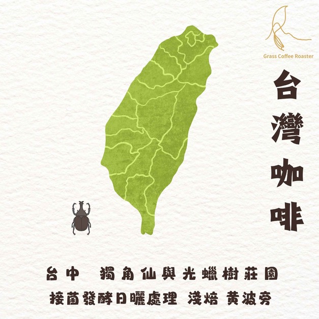 台中 新社  獨角仙與光蠟樹  黃波旁  接菌發酵 日曬處理 淺焙