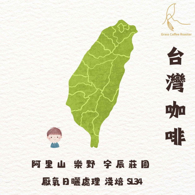 嘉義 阿里山 宇辰莊園  厭氧日曬SL34 處理 淺焙