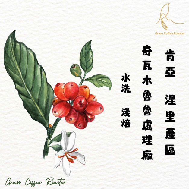 肯亞  涅里產區  奇瓦木魯魯處理廠. 水洗  淺焙