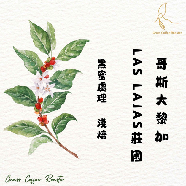 哥斯大黎加  Las Lajas莊園 黑蜜處理 淺焙