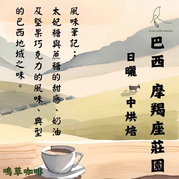 巴西 摩羯座莊園   日曬     中烘焙