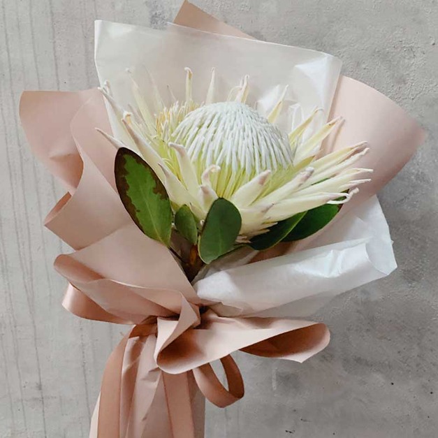 白帝王單支鮮花花束 B0336001