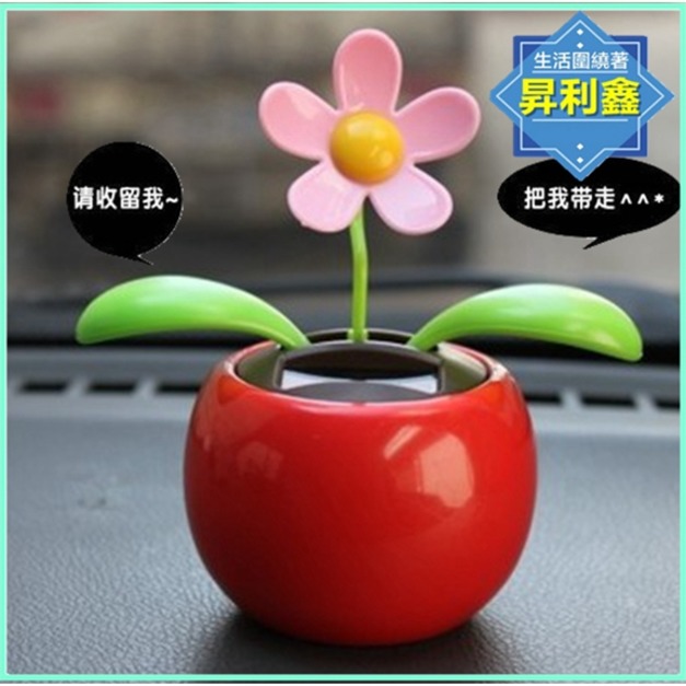 可愛療癒系小花植物盆栽