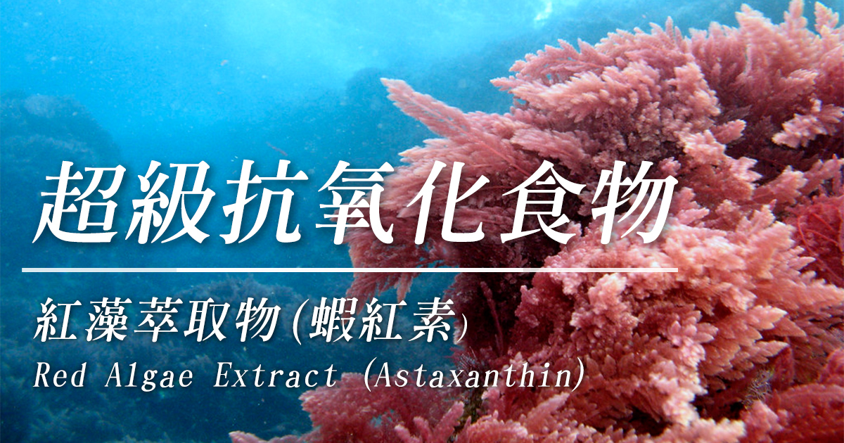 超級抗氧化食物
