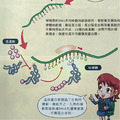 【小學中高年級~國中適讀】 尖端科學彩色漫畫_7