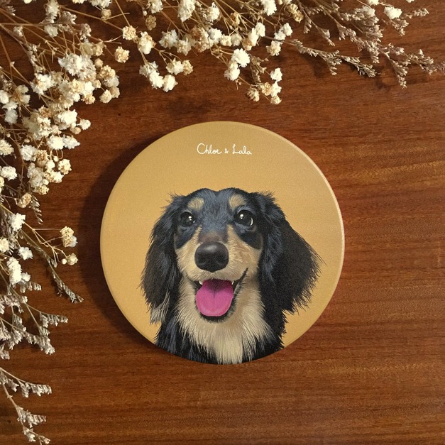 汪喵陶瓷吸水杯墊 - 黑四目長毛臘腸 | 燦笑臉 | Choya