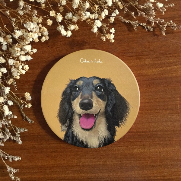 汪喵陶瓷吸水杯墊 - 黑四目長毛臘腸 | 燦笑臉 | Choya