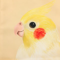 鳥兒帆布提袋 - 玄鳳鸚鵡_1