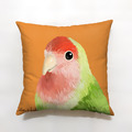 鳥兒大抱枕 - 愛情鳥