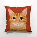 汪喵大抱枕 - 橘貓