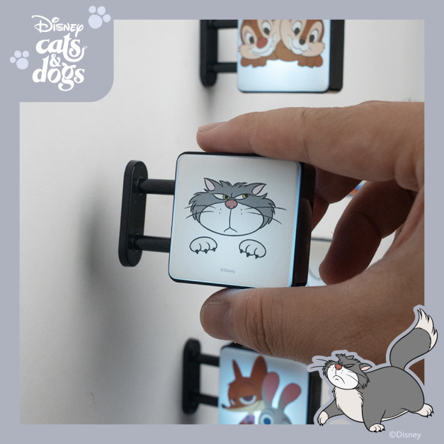 【Cats&Dogs】磁吸小燈箱｜正版授權