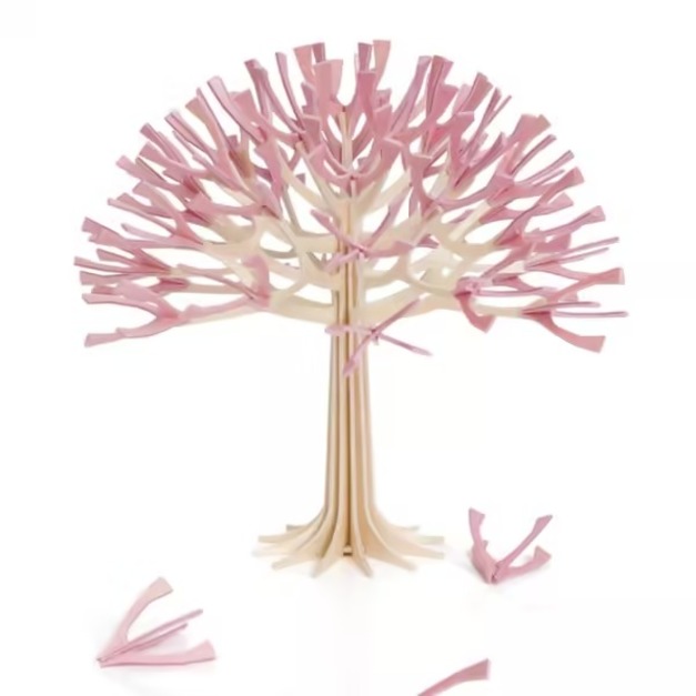 四季樹 春櫻 22cm +$1,500