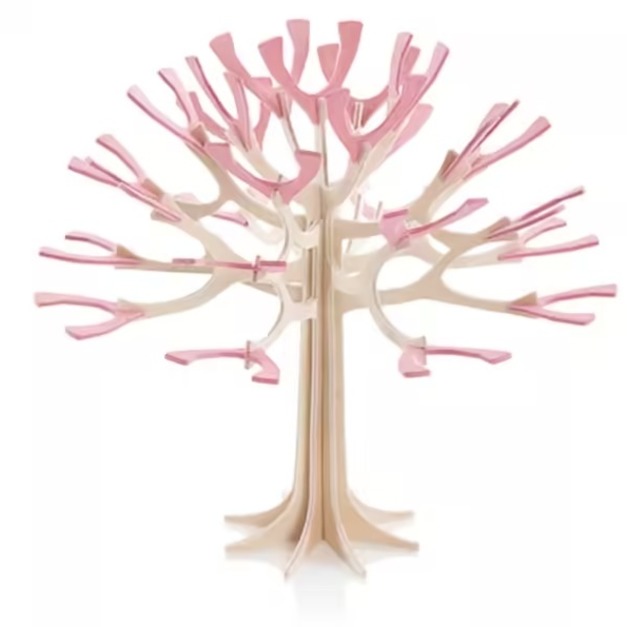 四季樹 春櫻11.5cm