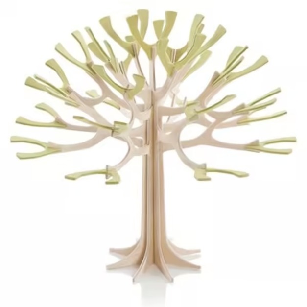 四季樹 夏綠11.5cm