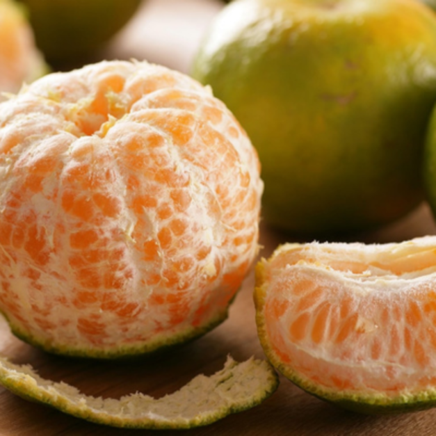 椪柑[橘子]柑橘