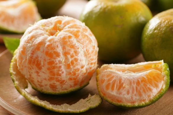 椪柑[橘子]柑橘