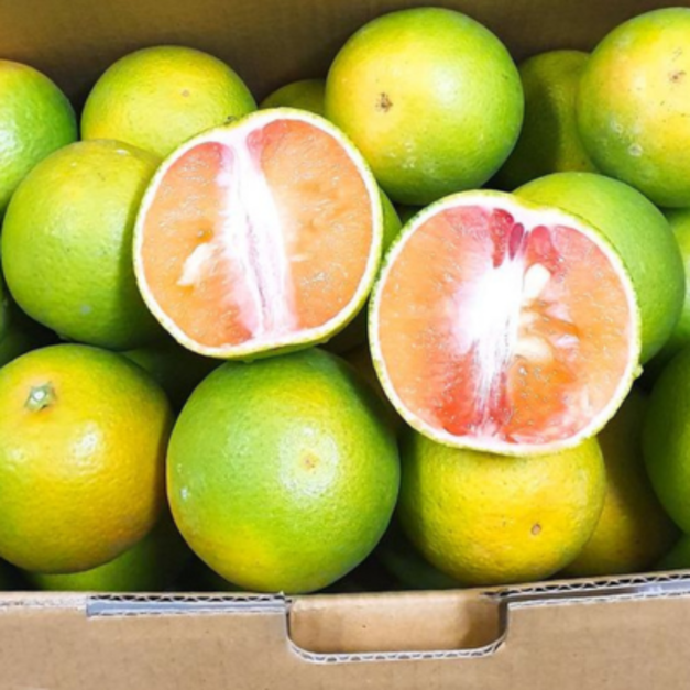 [ 玫瑰甜橙]紅肉柳丁