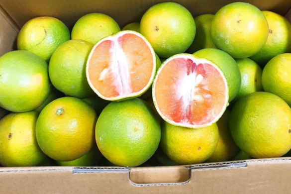 [ 玫瑰甜橙]紅肉柳丁