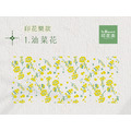 印花樂系列 1 油菜花
