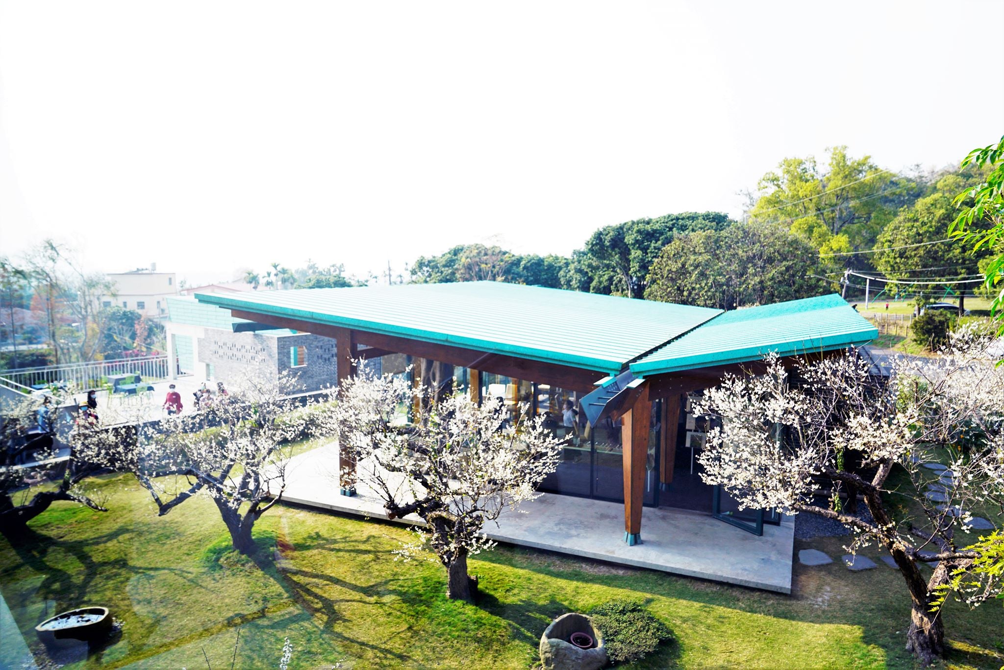 可能是樹和戶外的圖像