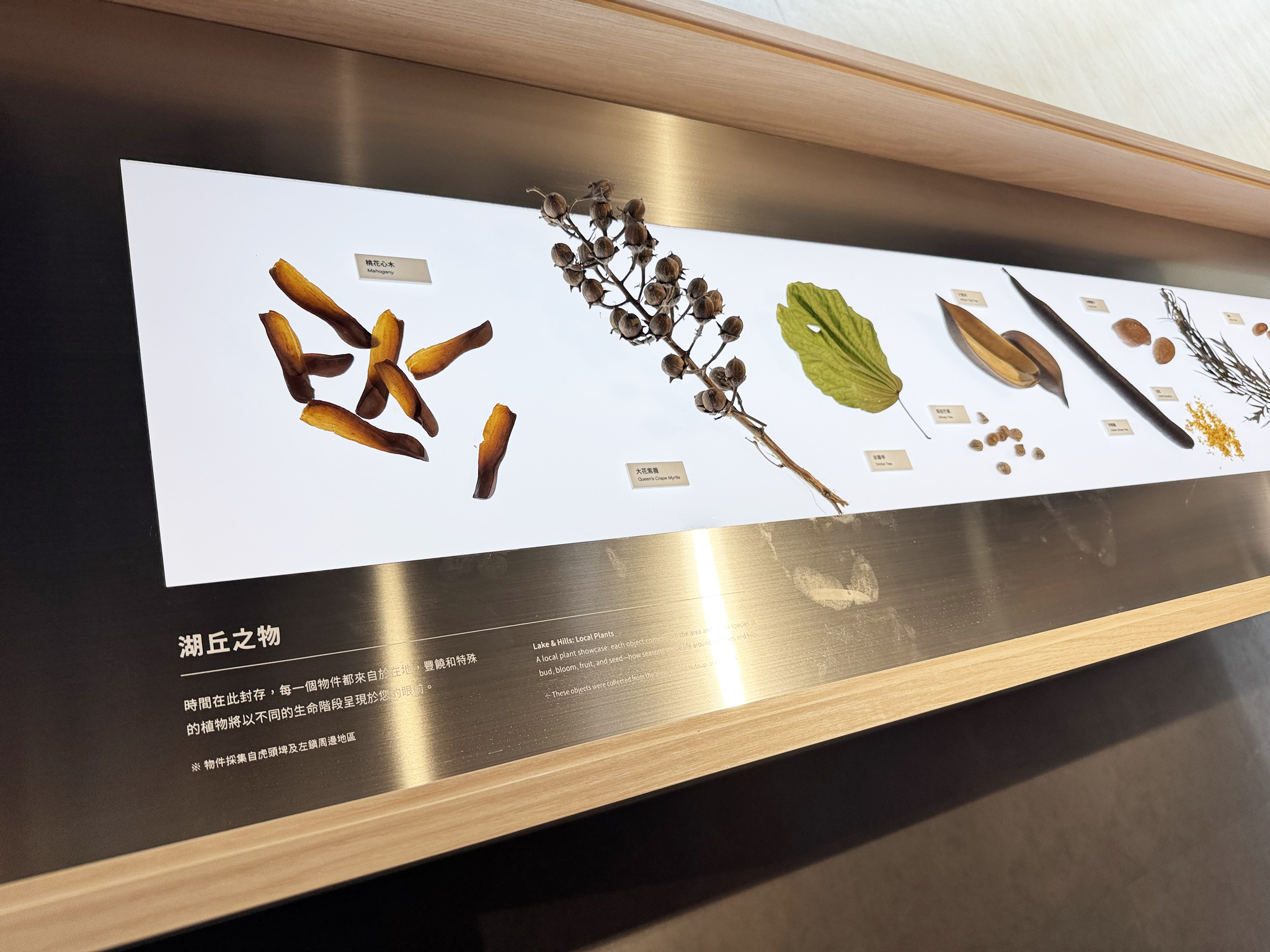 官田遊客中心  木展板/鐵板絹印 / 2025.11