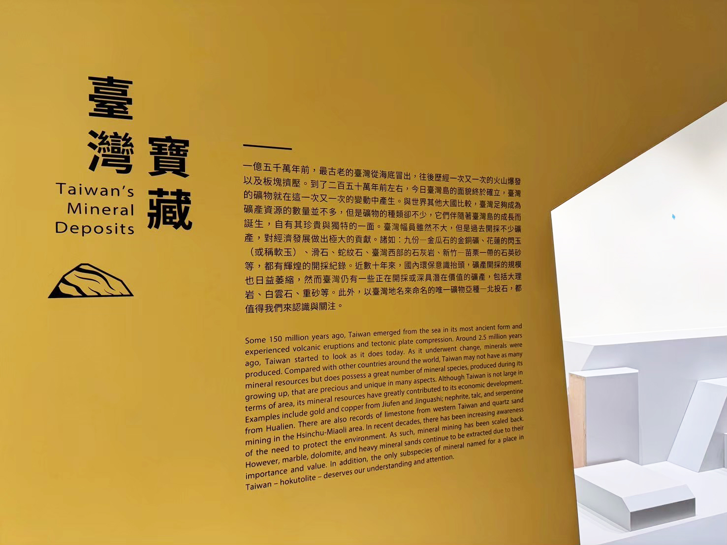 國立自然科學博物館 牆面絹印  / 2025.05