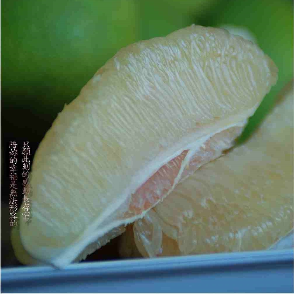 多汁香甜的正40年老欉麻豆文旦
